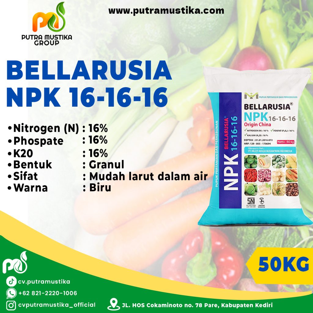 npk bellarusia 16-16-16